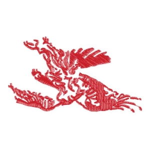 鹰