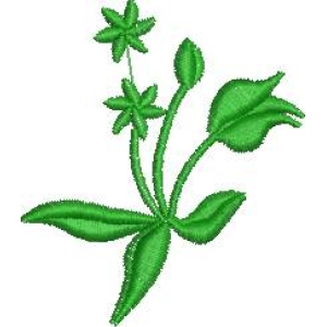 绿色植物刺绣图案