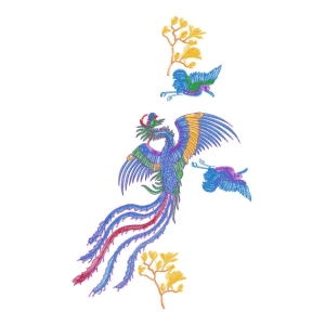 鹰