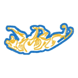 豹