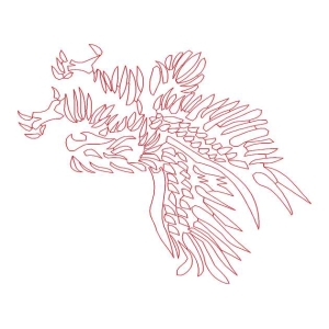 鹰