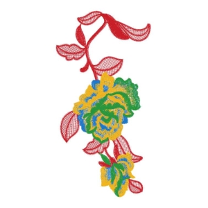 美丽花卉