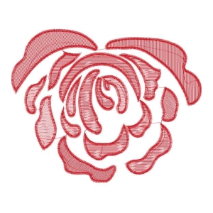 美丽花卉