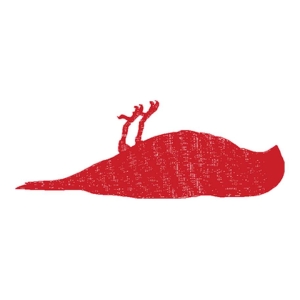 鸟