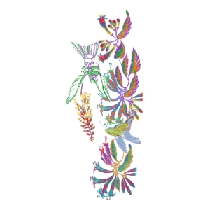 鸟美丽花卉