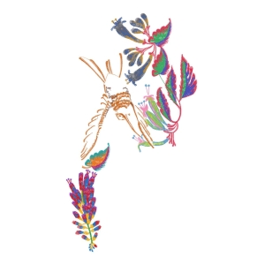 美丽花卉