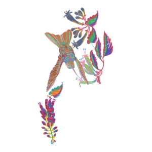 鸟美丽花卉