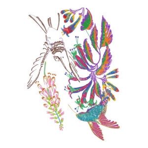 鸟美丽花卉