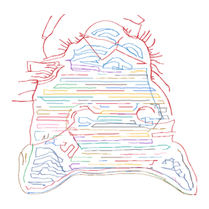 狗珠片