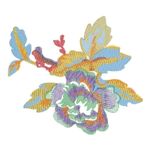 美丽花卉