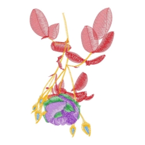 美丽花卉