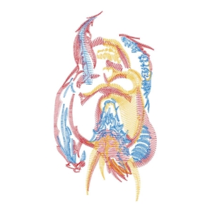 龙