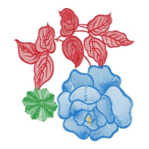 美丽花卉