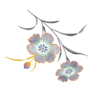 美丽花卉