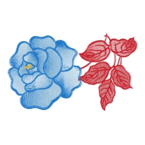 美丽花卉