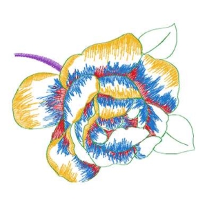美丽花卉