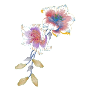 美丽花卉