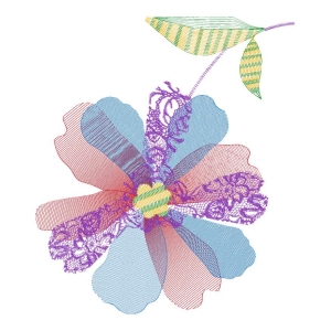 美丽花卉