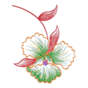 美丽花卉
