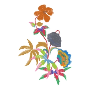 美丽花卉