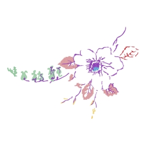 美丽花卉