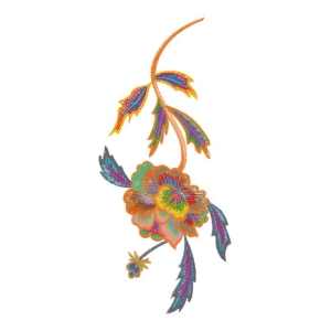美丽花卉
