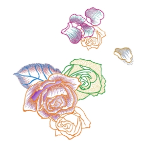 美丽花卉