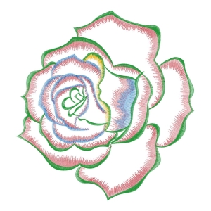 美丽花卉