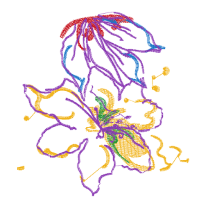 美丽花卉