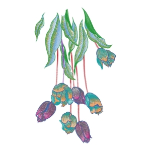 美丽花卉