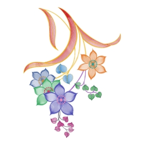 美丽花卉