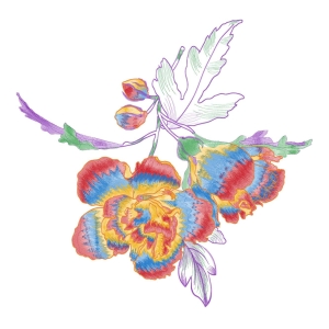美丽花卉
