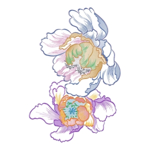美丽花卉