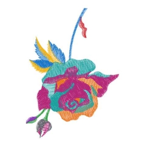 美丽花卉