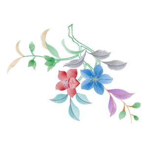 美丽花卉