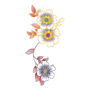 美丽花卉