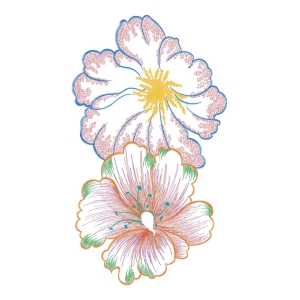 美丽花卉