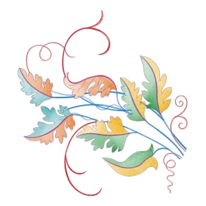 美丽花卉