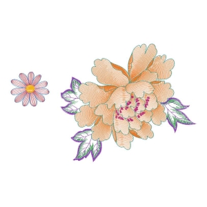 美丽花卉
