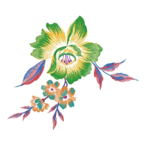 美丽花卉