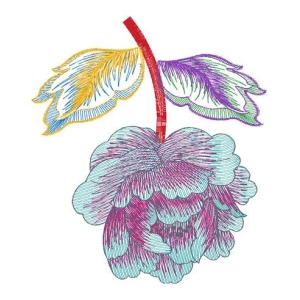 美丽花卉
