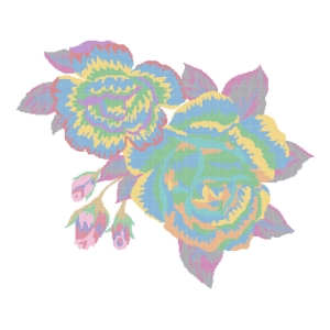 美丽花卉