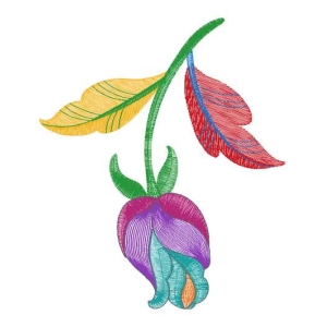 美丽花卉