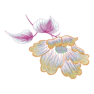 美丽花卉