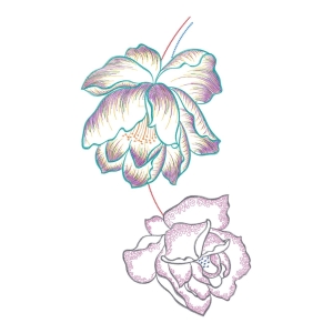 美丽花卉