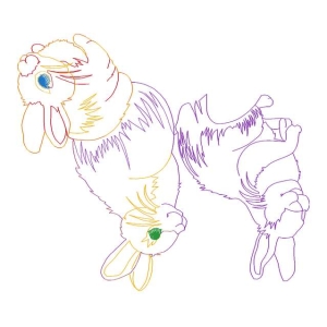 兔子