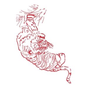 老虎图案