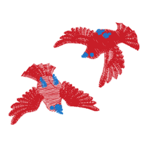 鸟