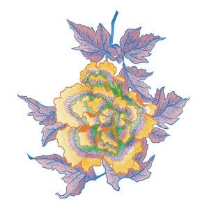 美丽花卉