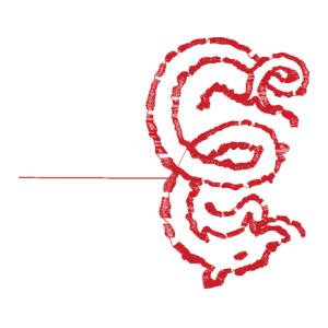龙